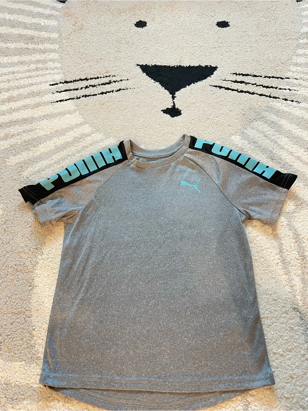 Puma Black Hoodie and Gray Tee Set with Mint Accents